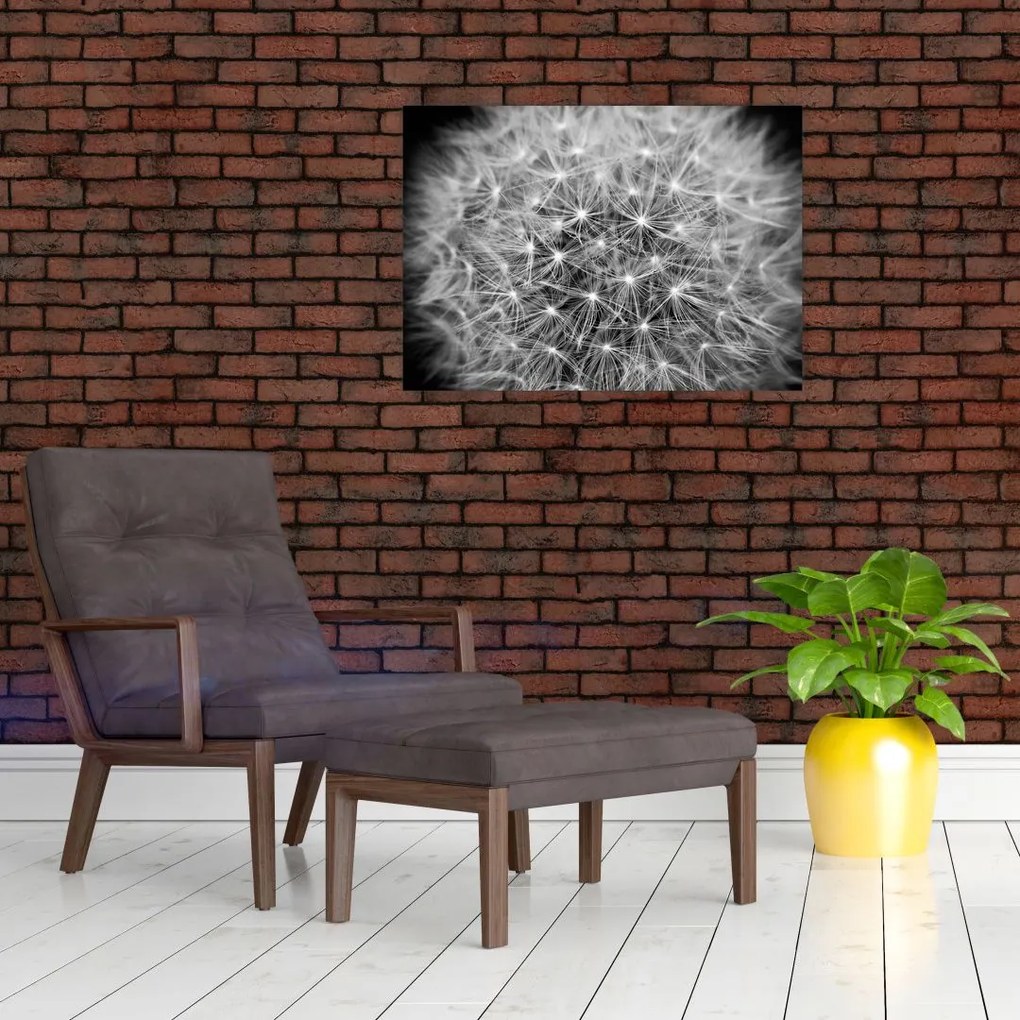 Tablou pe sticlă păpădie gri (70x50 cm)