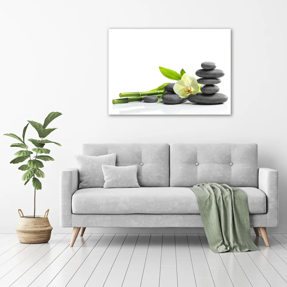 Imprimare tablou canvas Orhidee