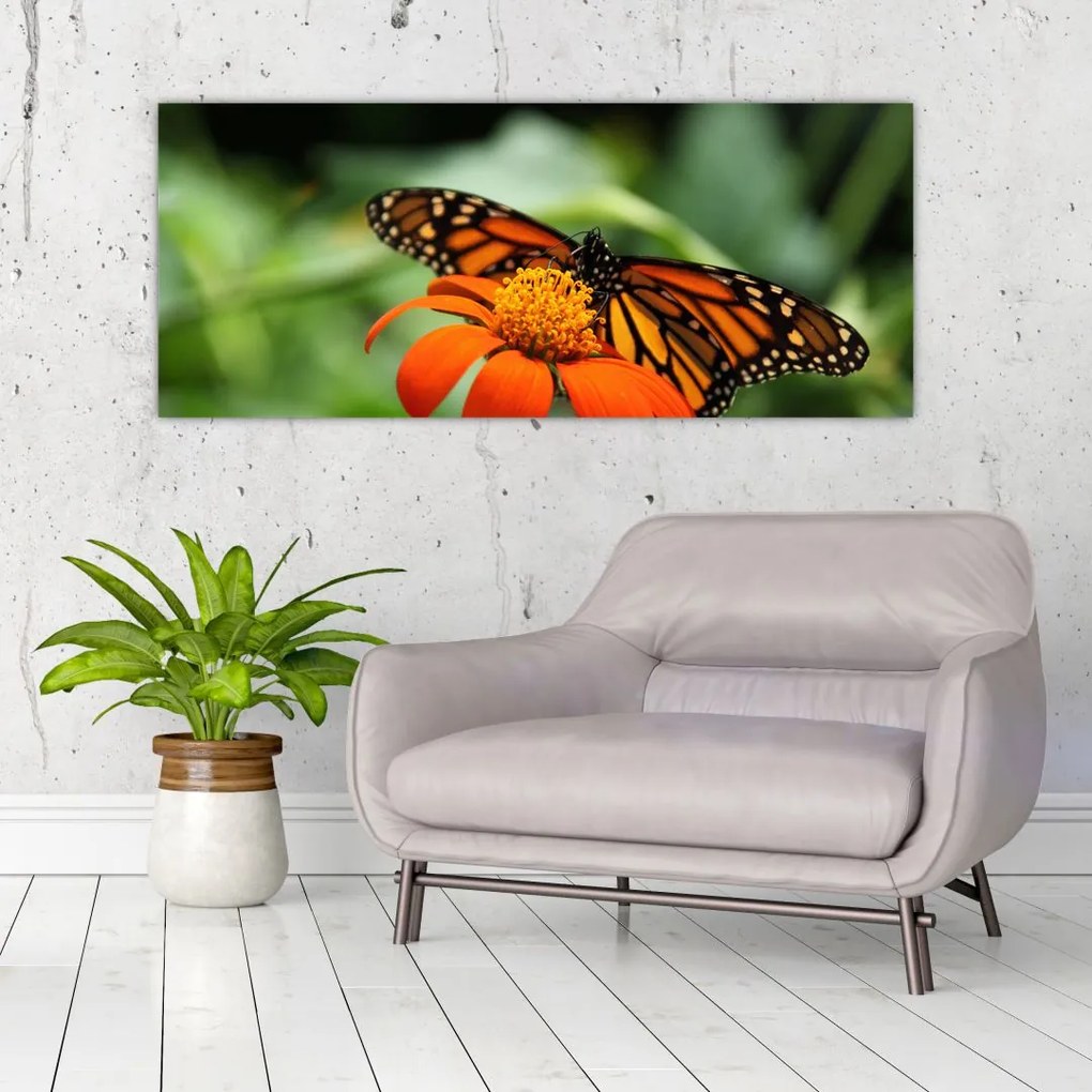 Tablou cu fluture pe floare (120x50 cm)