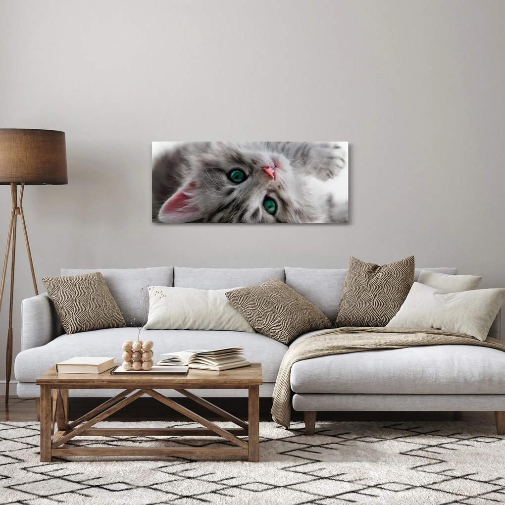 Tablou - Pisica cu ochi verzi (120x50 cm)