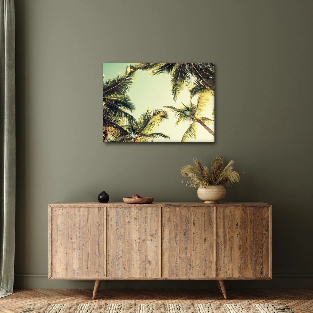Tablou - Palmieri de cocos (70x50 cm)