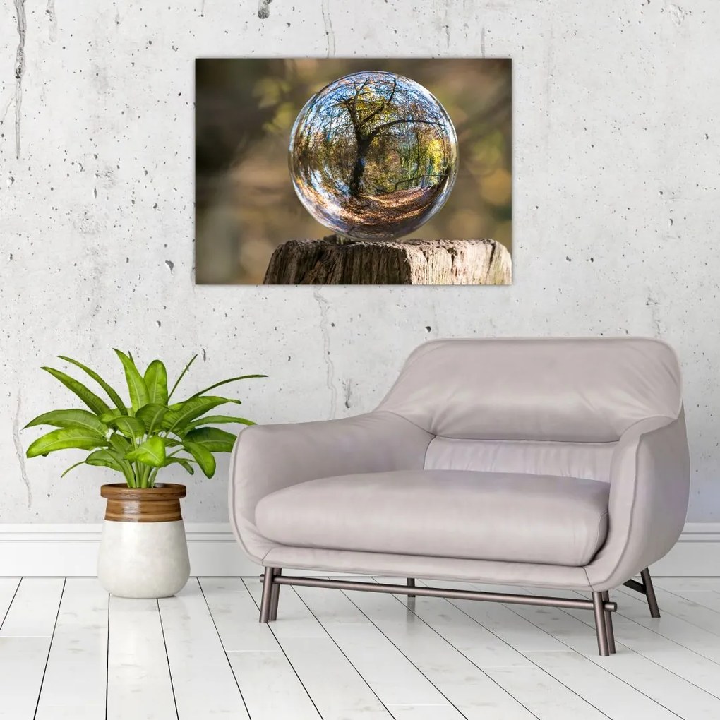 Tablou - Reflecție intr-o sferă transparentă (70x50 cm)