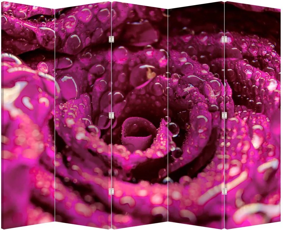Paravan - Floarea trandafirului roz (210x170 cm)