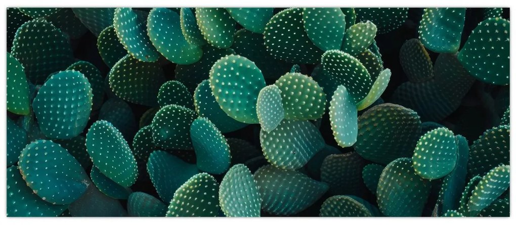 Tablou - Opuntia (120x50 cm)