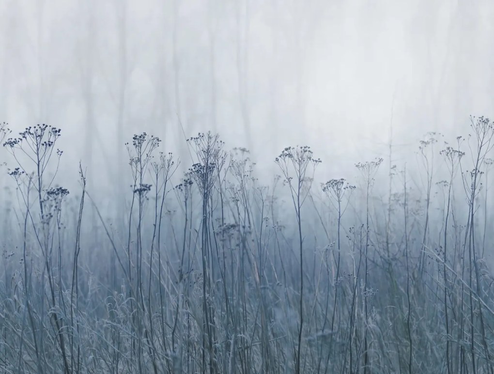 Tapet Autumn Haze, Blue, Rebel Walls