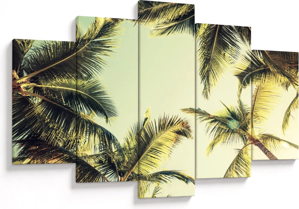 Tablou - Palmieri de cocos (150x105 cm)