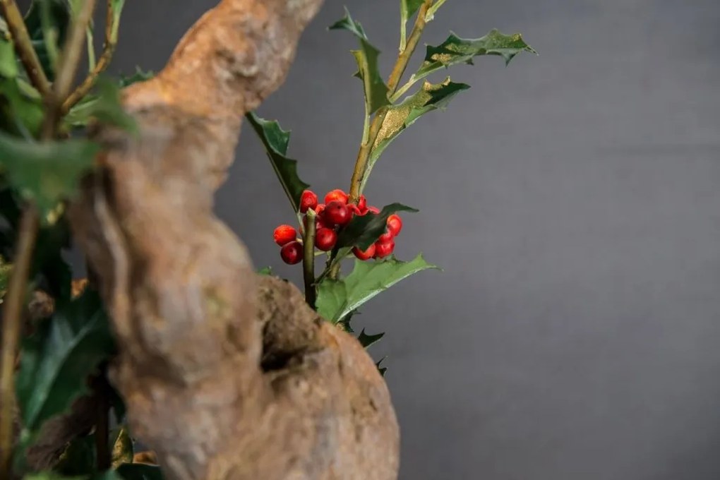 Aranjament floral mediu design LUX ETERNITY PUNGITOPO