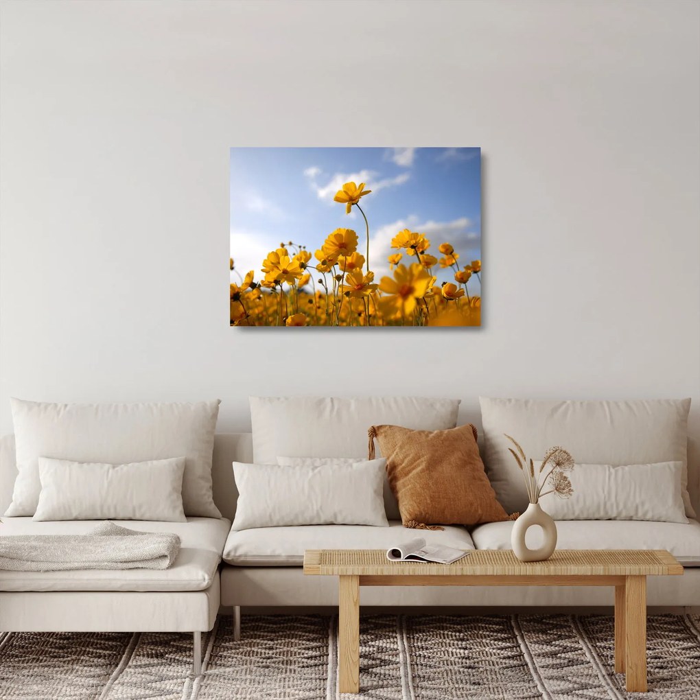 Tablou pe sticlă - Câmp cu flori galben deschis (70x50 cm)