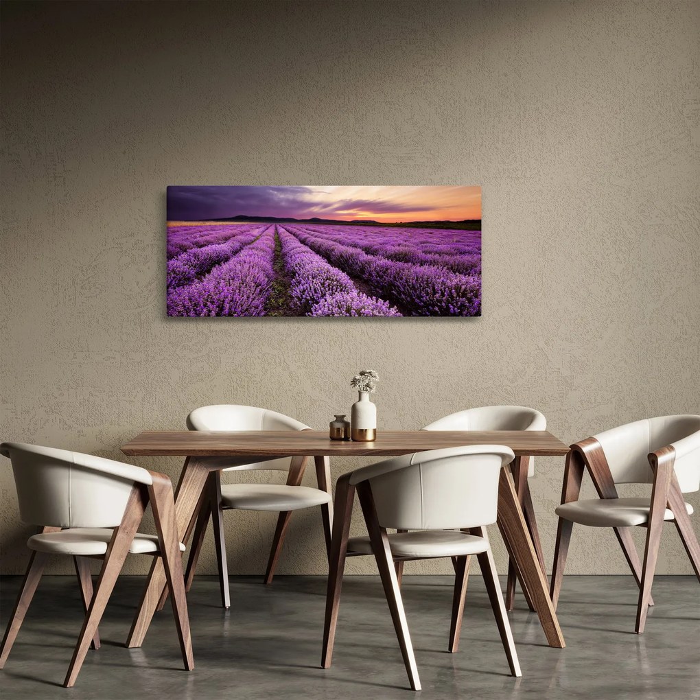 Tablou - Câmp de lavandă la apus de soare (120x50 cm)