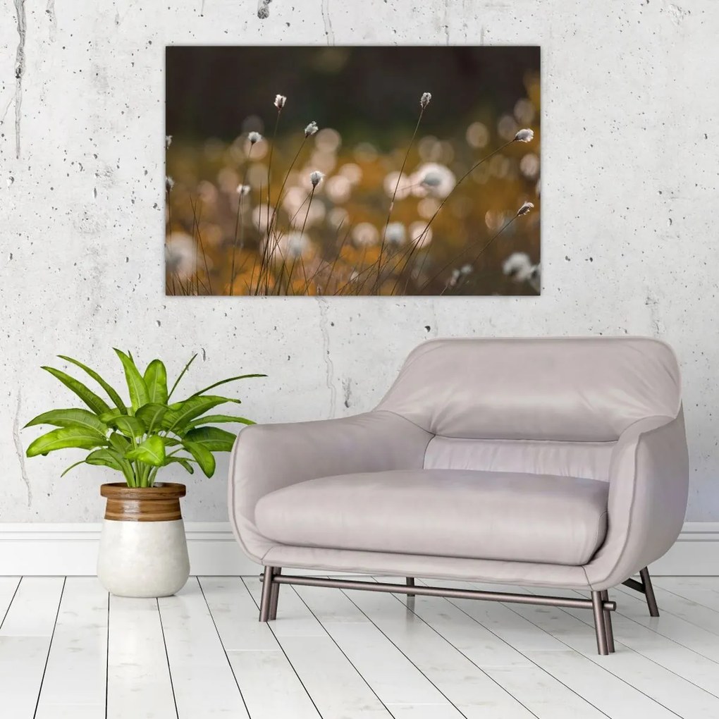 Tablou - Pajiște cu iarbă de cozonac N⁰2 (90x60 cm)