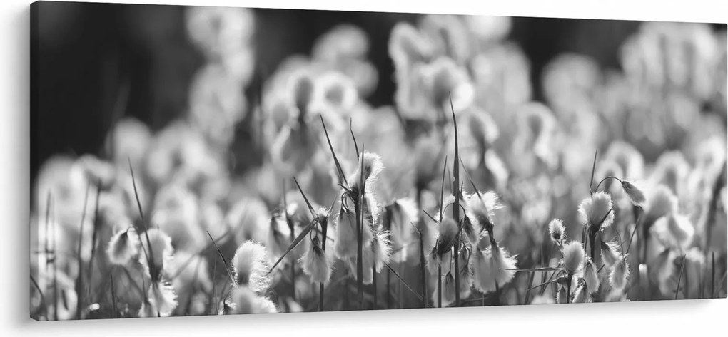 Tablou - Pajiște de vară (120x50 cm)