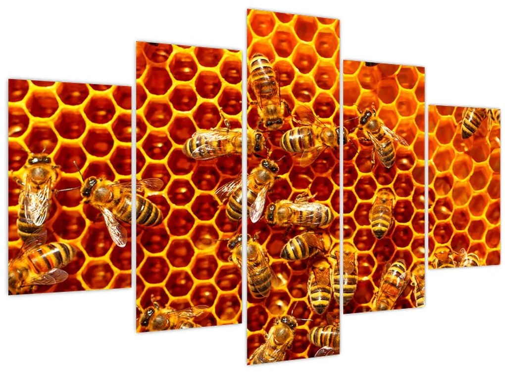 Tablou - Fagure de miere (150x105 cm)