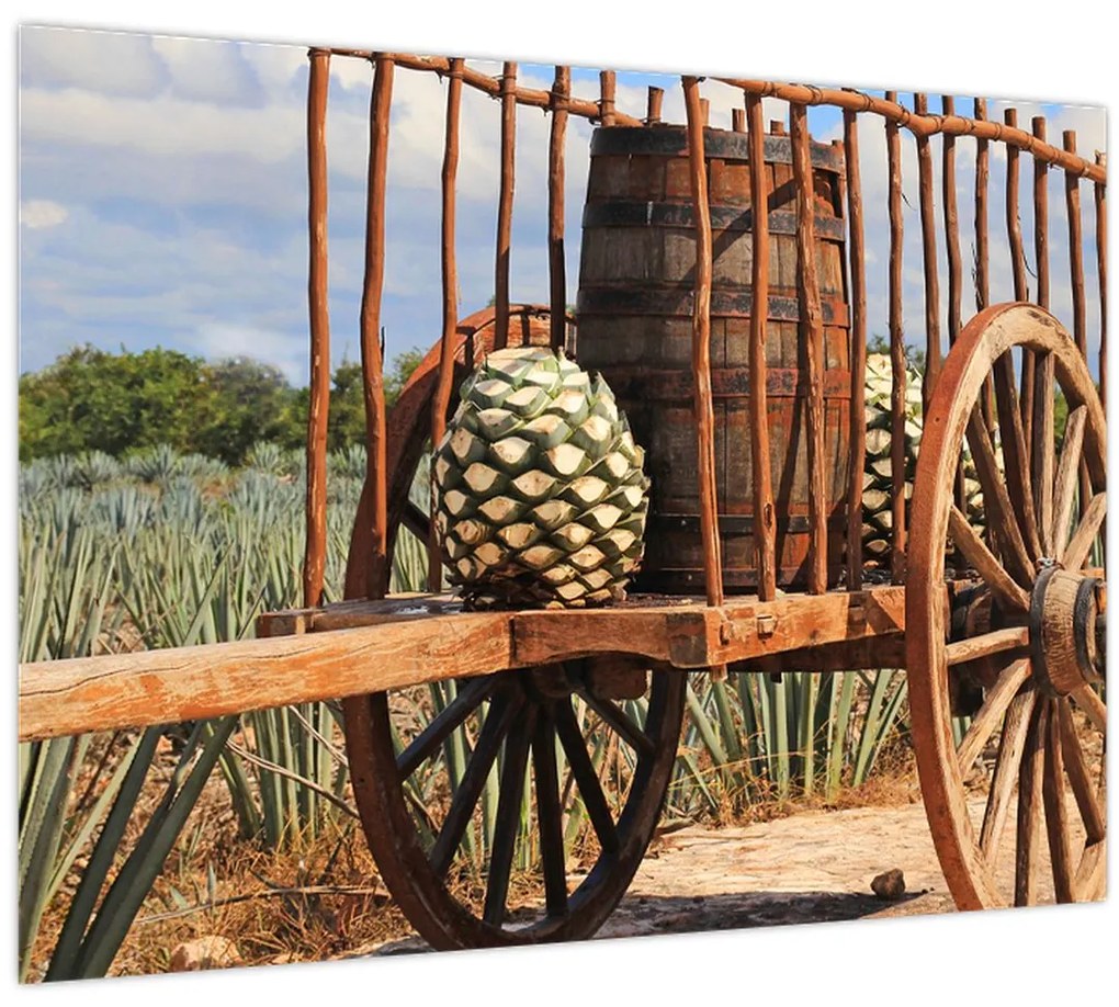 Tablou - Remorcă (70x50 cm)