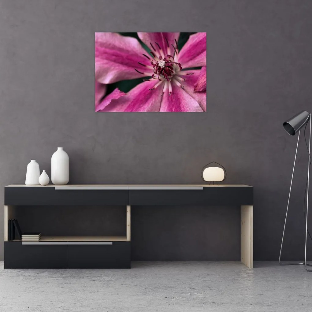 Tablou pe sticlă cu floarea roz de clematis (70x50 cm)