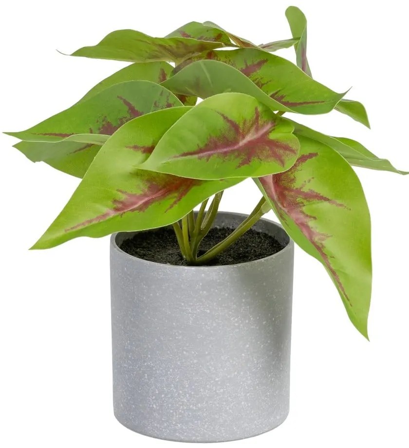 Plantă artificială (înălțime 20 cm) Syngonium – Ixia