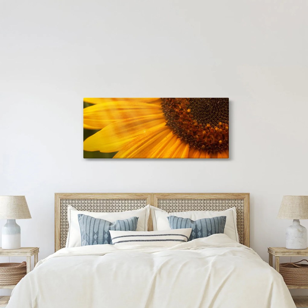 Tablou - Floarea-soarelui (120x50 cm)