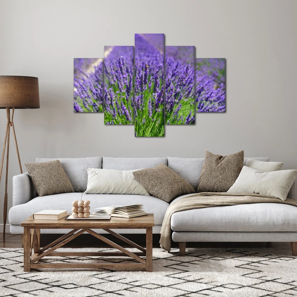 Tablou - lavanda (150x105 cm)