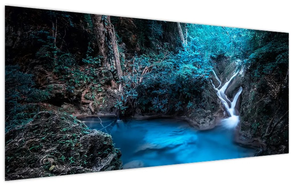 Tablou - Noaptea magică în pădurea tropicală (120x50 cm)