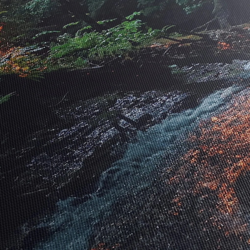 Tablou cu râu montan (120x50 cm)