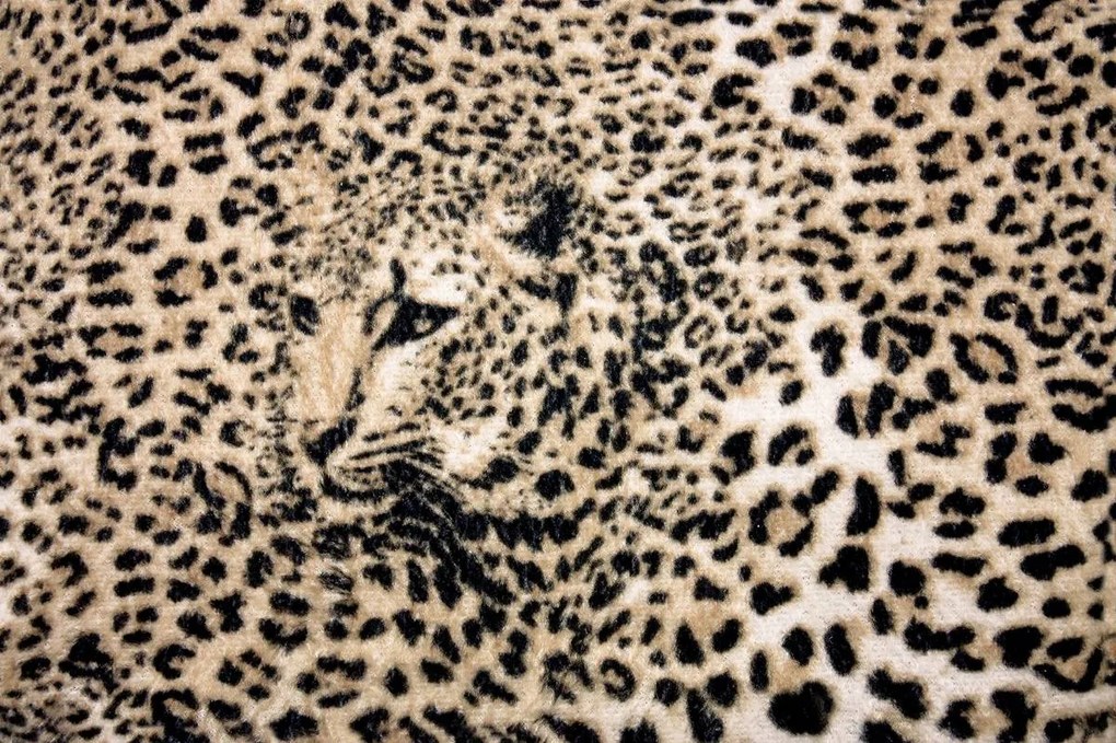 Fototapet - Fiara (152,5x104 cm)
