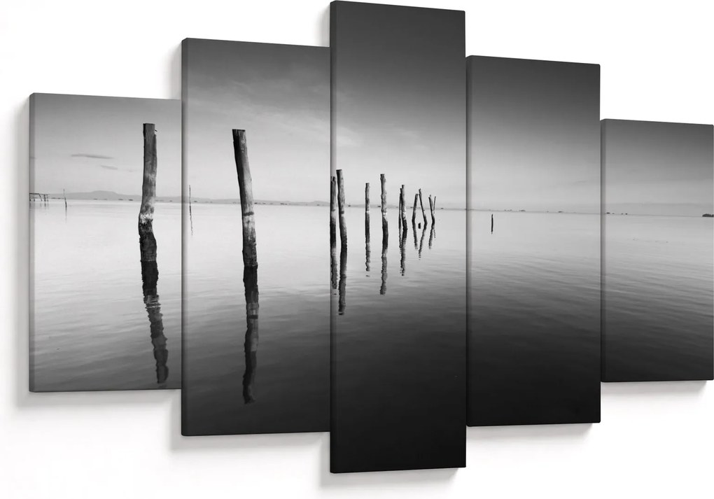 Tablou cu nivelul de lac alb negru (150x105 cm)