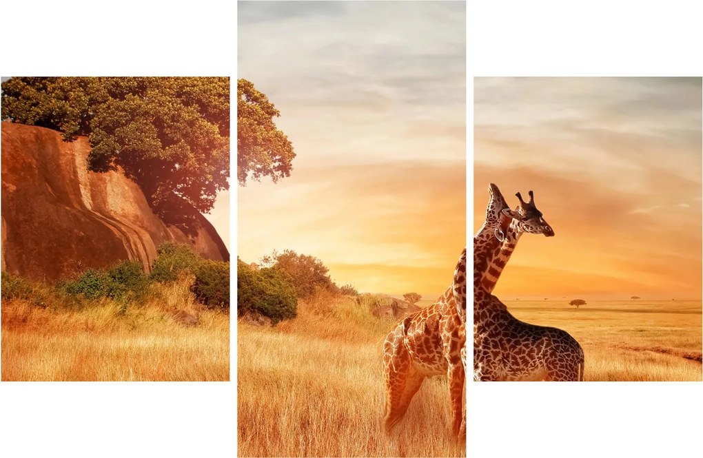 Tablou Girafe în Africa (90x60 cm)