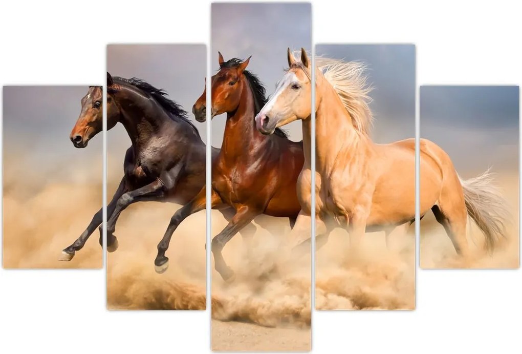 Tablou - Cai sălbatici (150x105 cm)