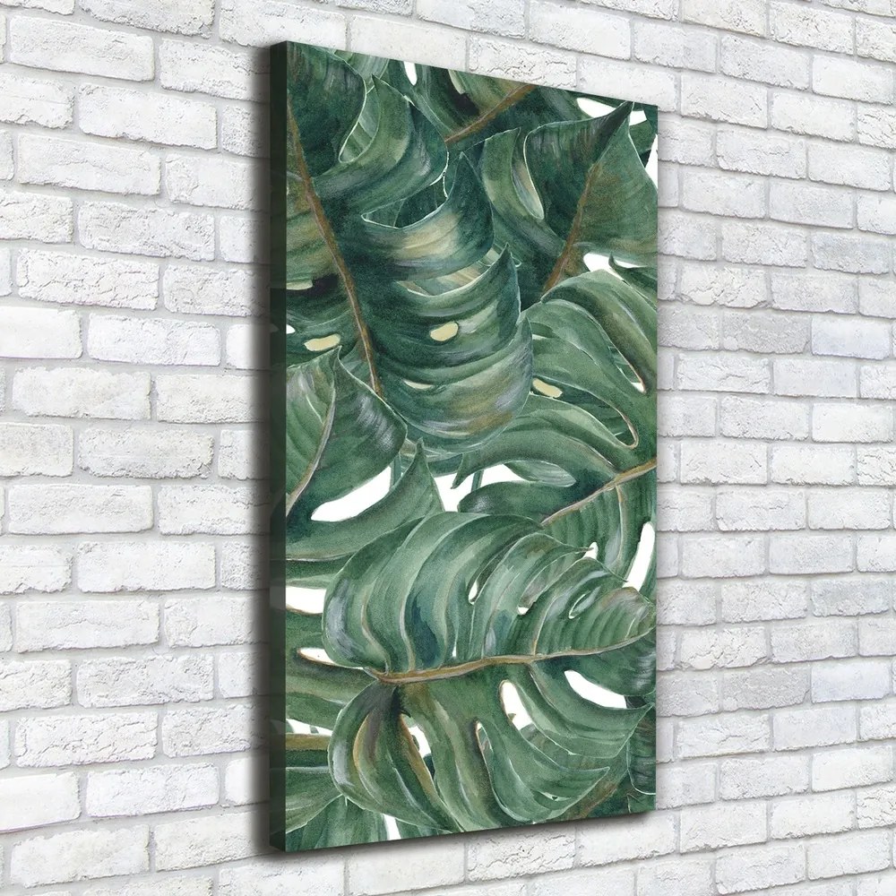 Tablou canvas Monstera