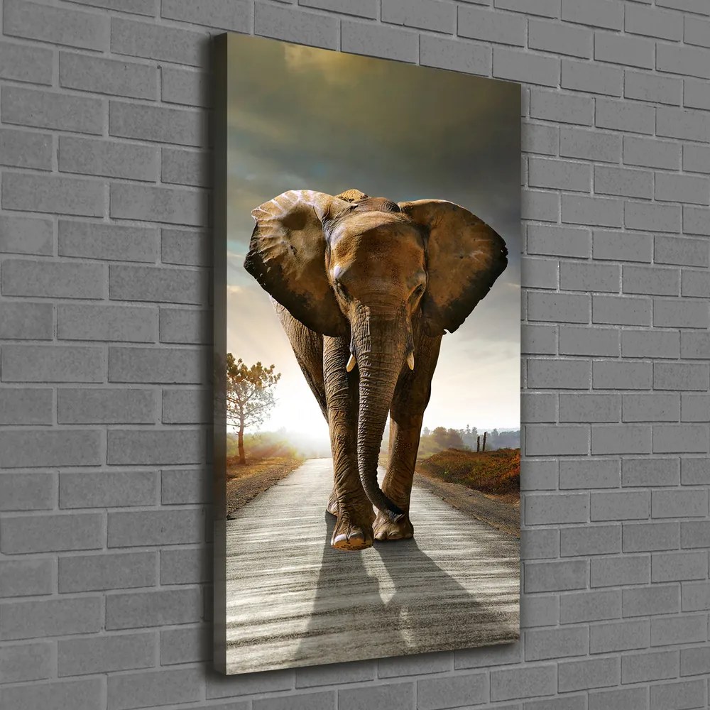 Tablou pe pânză canvas Elefant de mers pe jos