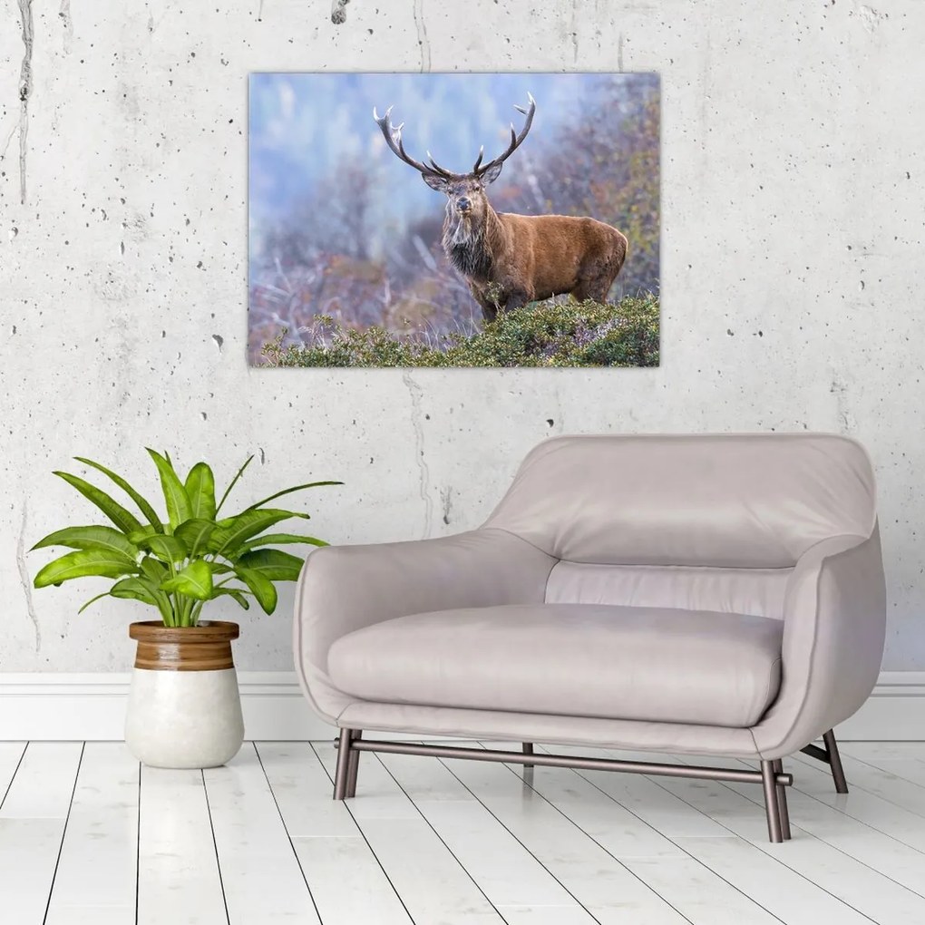 Tablou - Cerb în peisaj (70x50 cm)