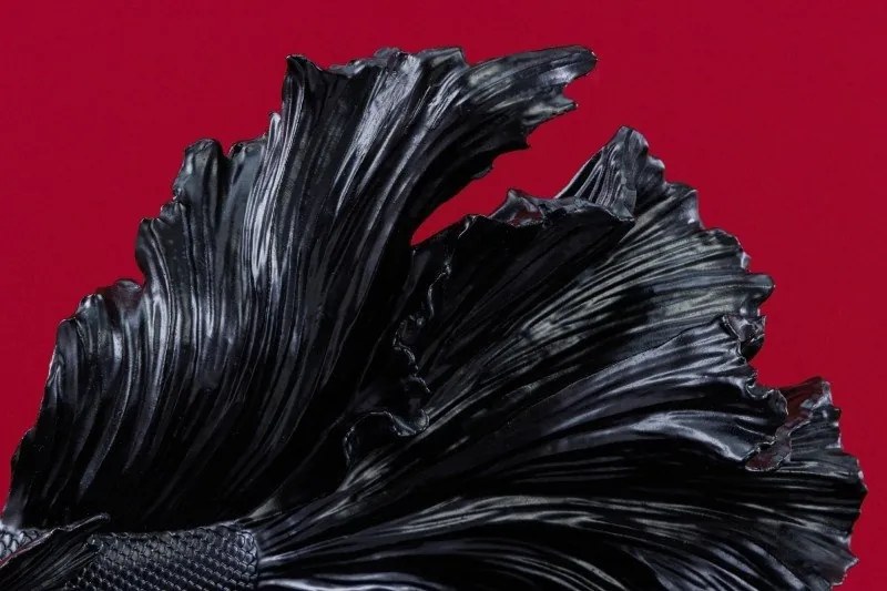 Statueta decorativa extravaganta Fisch Crowntail 35cm, negru
