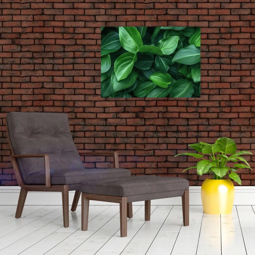 Tablou pe sticlă - Frunze verzi (70x50 cm)