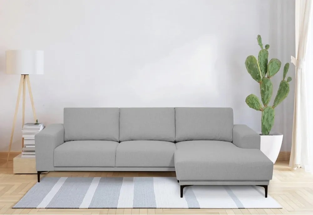 Colțar gri (colț pe partea dreaptă) Chile – Scandic