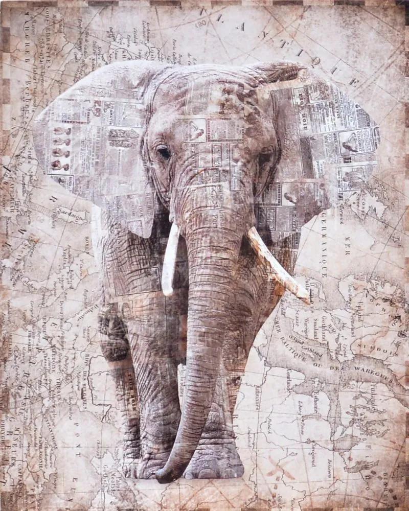 Falc Tablou pe pânză - Elephant, 40x50 cm