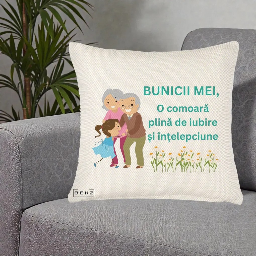 Cadou pentru Bunici - Perna Personalizata Bunicii Mei Comoara Iubire Intelepciune Nepoata, 40x40 cm, Crem Reliefat, Husa Detasabila, Perna Inclusa, BEKZ®