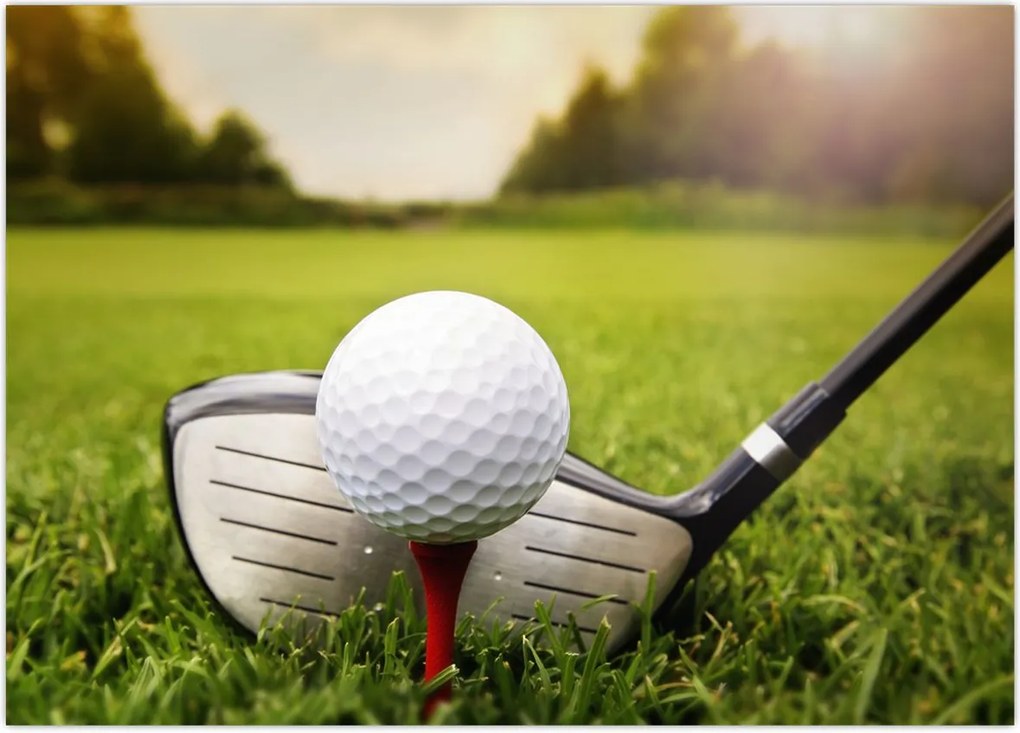 Tablou - Golf (70x50 cm)