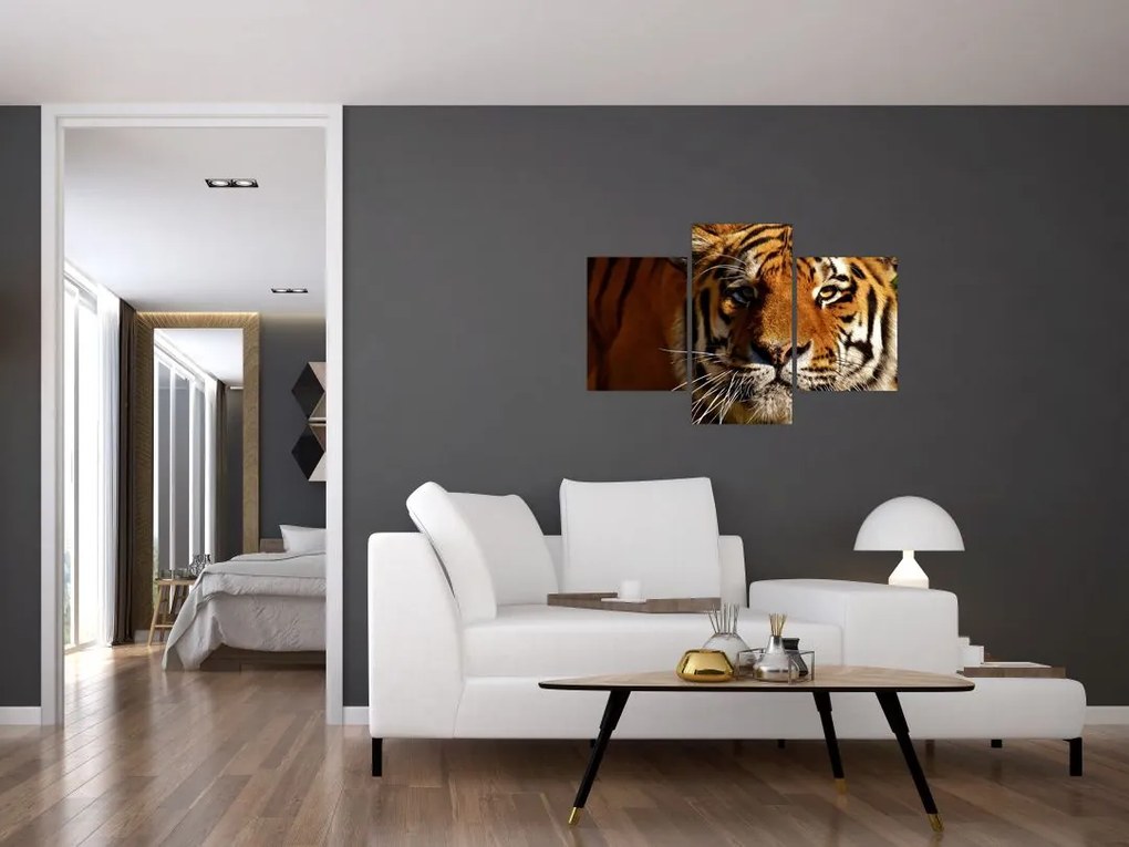 Tablou cu tigrul (90x60 cm)