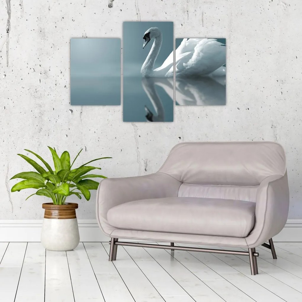 Tablou -Lebădă albă (90x60 cm)