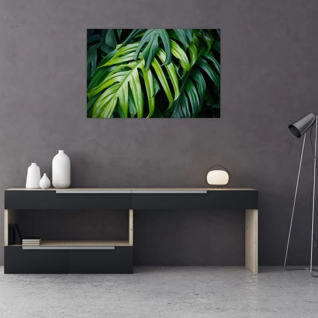 Tablou - Frunze tropicale (90x60 cm)