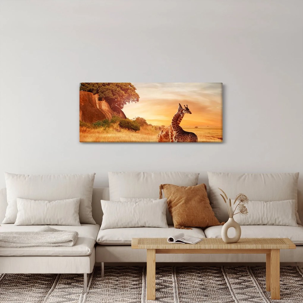 Tablou Girafe în Africa (120x50 cm)