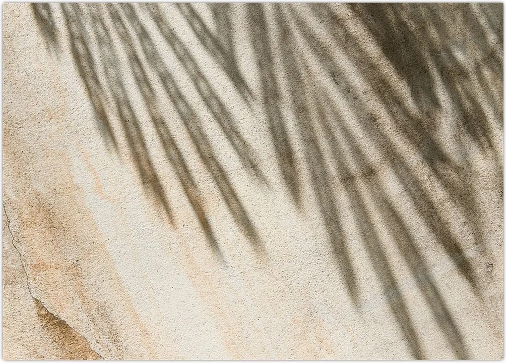 Tablou - Umbre (70x50 cm)