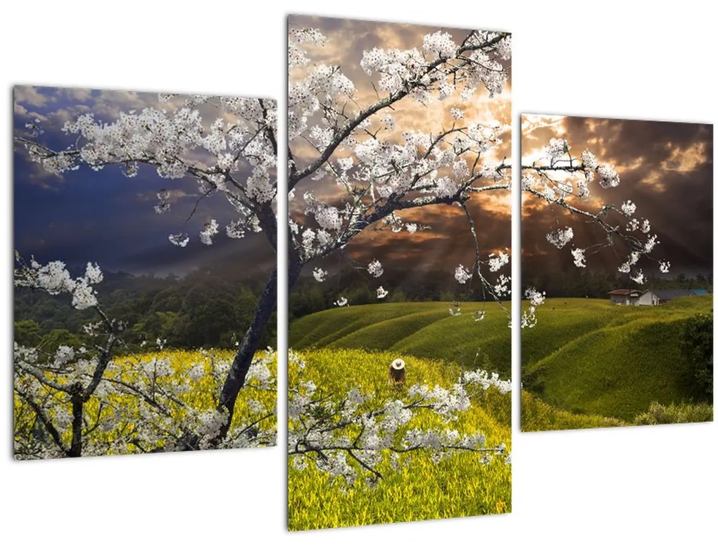 Tablou - Peisaj cu pomul înflorit (90x60 cm)