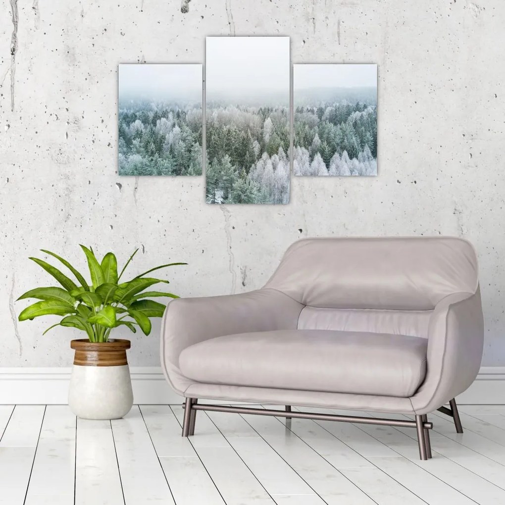 Tablou - Crestele munțillor înzăpezite (90x60 cm)