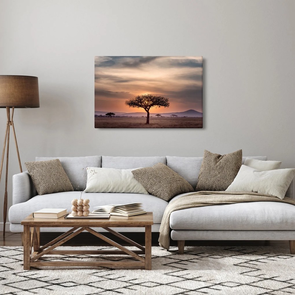 Tablou apusului de soare în Tanzania (90x60 cm)