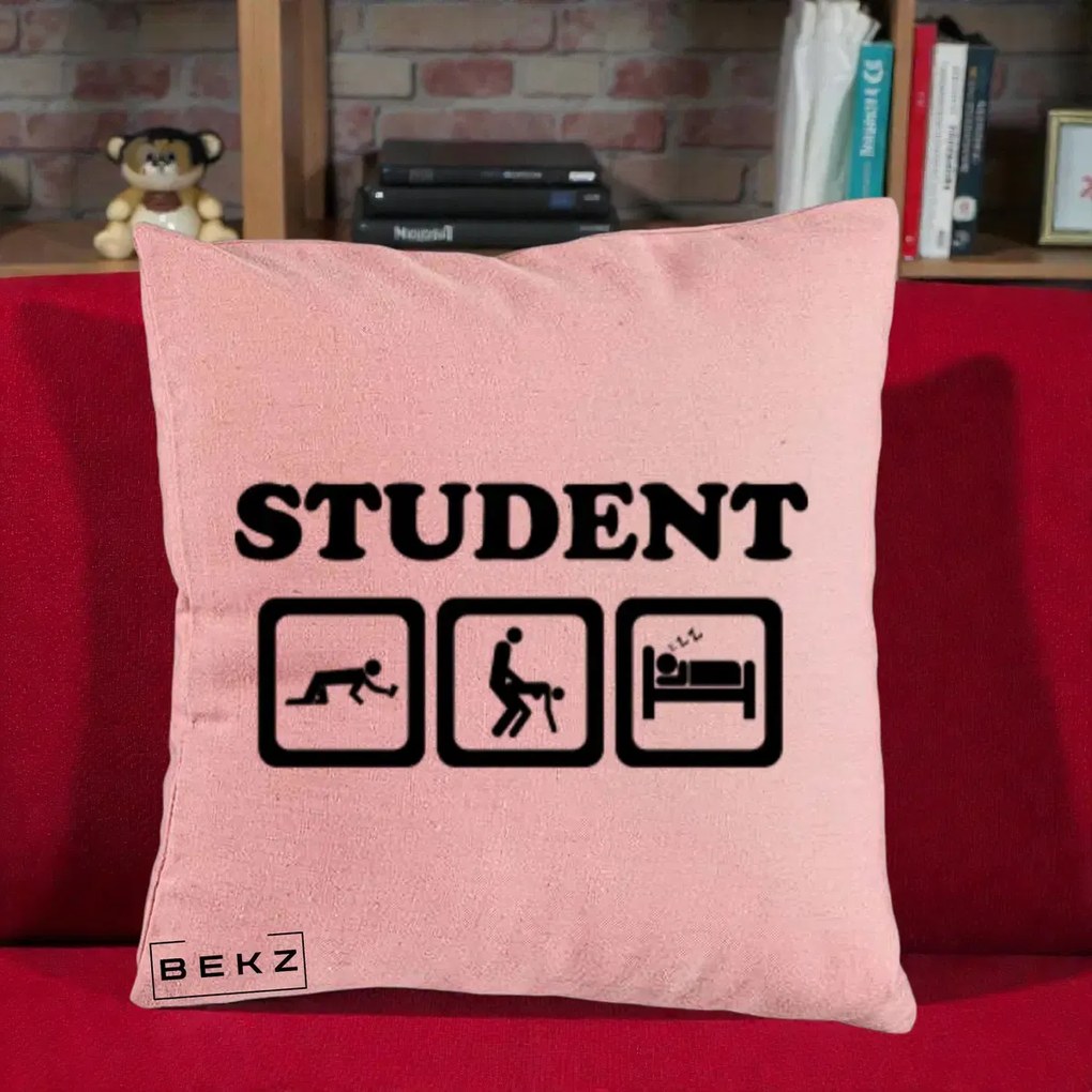 Perna Decorativa Student Life, 40x40 cm, Roz, Husa Detasabila, Perna Inclusa, BEKZ®