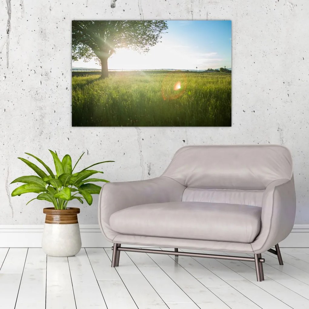 Tablou cu lunca în vară (90x60 cm)