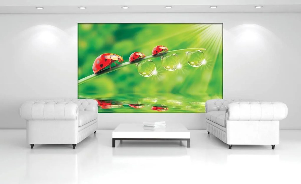Fototapet - Flori (152,5x104 cm)