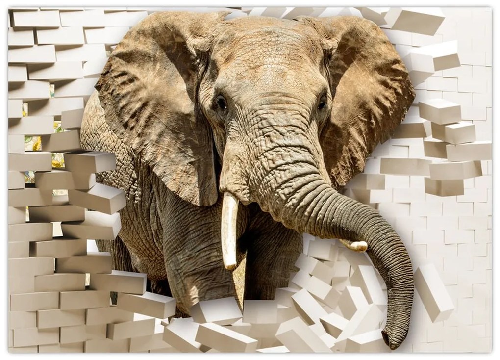 Tablou pe sticlă - Elefant spârgând peretele (70x50 cm)