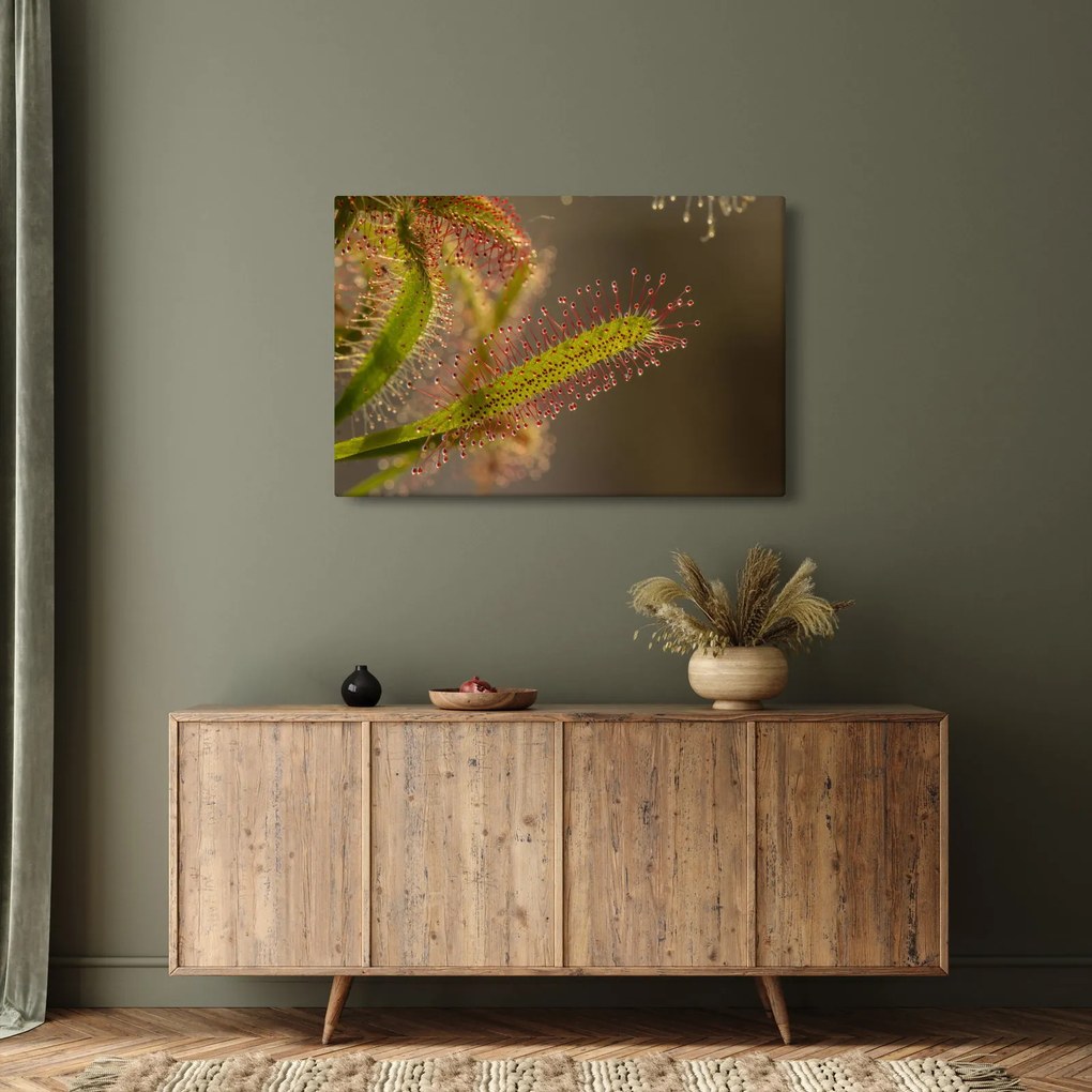Tablou cu plantă (90x60 cm)