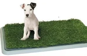 Zaparkorun Toaletă pentru animalele de companie - Potty Patch